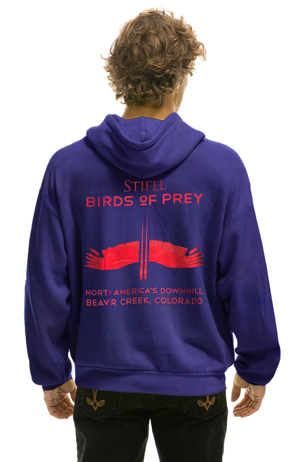 BIRDS OF PREY 2024 PULLOVER HOODIE RELAXED - PURPLE - Image 3