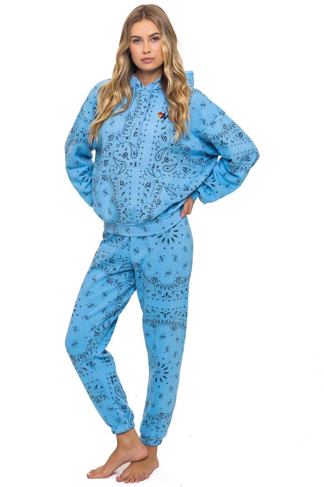 BANDANA RELAXED PULLOVER HOODIE - SKY - Image 11